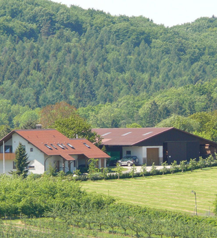 Der Ferienhof mit Haus und Scheune liegt inmitten der grünen Landschaft | © Touristikgemeinschaft Hohenlohe e. V.