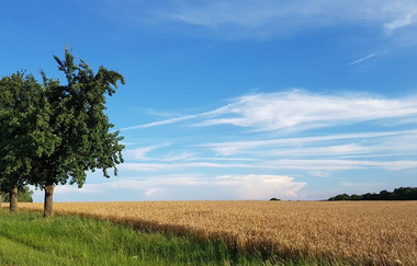 Ferienhof Sommerberg - gerne auch mit Hund | © Unbekannt