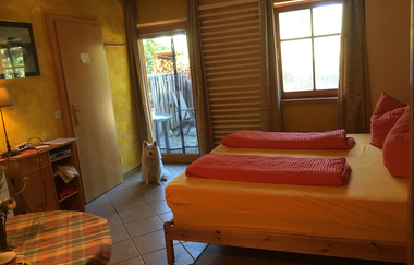 Ferienhof Sommerberg - gerne auch mit Hund | © Unbekannt