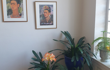 Ferienwohnung Alte Villa in Schwäbisch Hall: Deko Pflanzen | © Hohenlohe Schwäbisch Hall