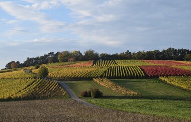 Ferienwohnung auf dem Dorf | © Unbekannt