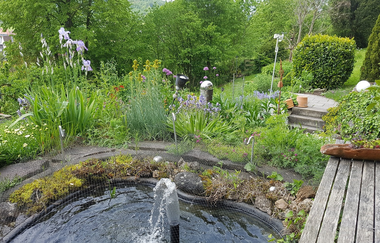 Ferienwohnung Bär in Rosengarten: Teich | © Hohenlohe Schwäbisch Hall