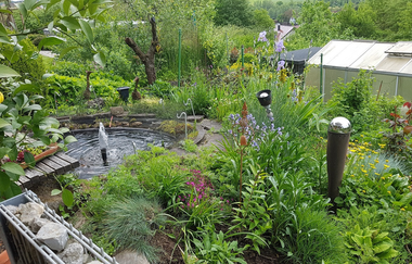 Ferienwohnung Bär in Rosengarten: Teich | © Hohenlohe Schwäbisch Hall