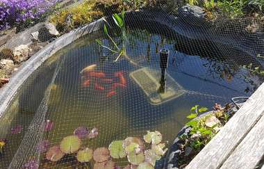 Ferienwohnung Bär in Rosengarten: Teich | © Hohenlohe Schwäbisch Hall