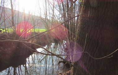 Ferienwohnung Brehmbachgrund | © Unbekannt