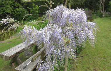 Ferienwohnung Brehmbachgrund | © Unbekannt