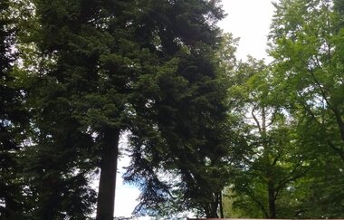 Ferienwohnung Ehrmann | © Unbekannt