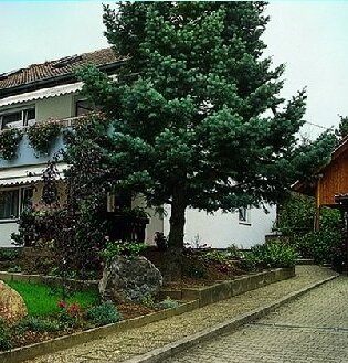 Ferienwohnung Hintz