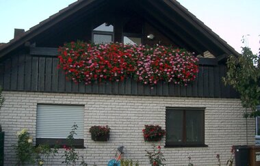Außenansicht der Ferienwohnung, unten beige, oben dunkelbraun / Holz | © Neckar-Zaber-Tourismus e.V.