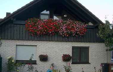 Außenansicht der Ferienwohnung, unten beige, oben dunkelbraun / Holz | © Neckar-Zaber-Tourismus e.V.