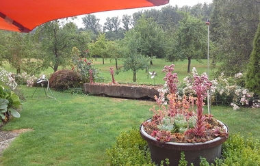 Der Naturgarten mit Blumenbeet und weitläufiger grüner Wiese. | © Touristikgemeinschaft Hohenlohe e. V.  | Ferienwohnung Jagstblick