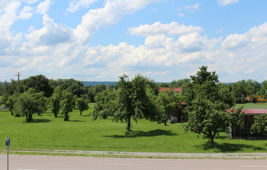 Ferienwohnung Michelbach: Landschaft | © Hohenlohe Schwäbisch Hall