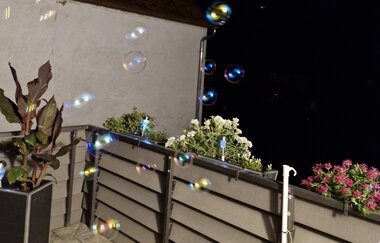 Ferienwohnung Monika Scholtz | © Unbekannt