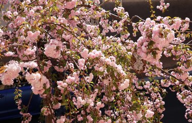 Ferienwohnung Münch | © Sabine Münch