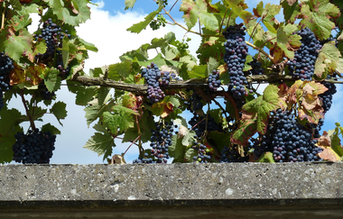 Ferienwohnung Nörpel | © Unbekannt