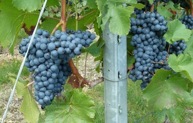 Ferienwohnung Nörpel | © Unbekannt