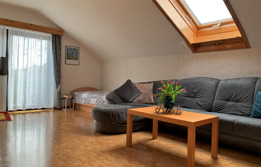 Wohnzimmer mit schwarzem Sofa, Holztisch mit Blumenvase, Zustellbett unter Dachschräge mit Fenster