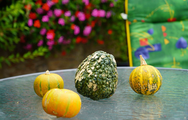 Ferienwohnungen Haus Doris | © Unbekannt