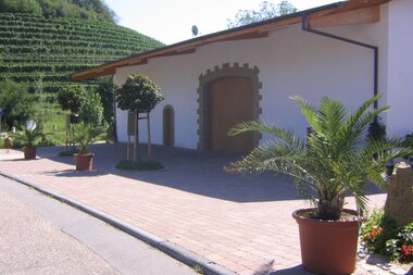 Außenansicht: weißes Gebäude und  große braune Tür