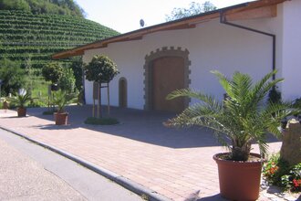 Außenansicht: weißes Gebäude und  große braune Tür