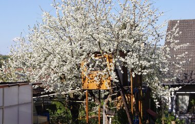 FeWo Haus KLARO klassifiziert F*** nach DTV | © Klaus Seidenspinner