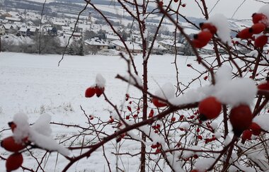 FeWo Haus KLARO klassifiziert F*** nach DTV | © Klaus Seidenspinner