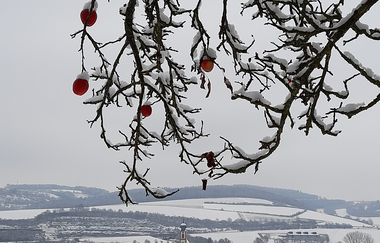 FeWo Haus KLARO klassifiziert F*** nach DTV | © Seidenspinner