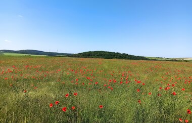 Fewo Höhbergblick | © Unbekannt