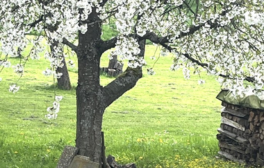 Freundliches Gästehaus "Lichtblick" | © Unbekannt