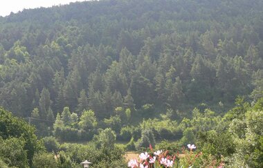 Gästehaus Gabriele | © Unbekannt