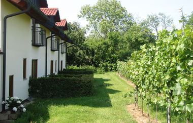 Gästehaus Kraft | Weinsüden Weinhotel in Lauffen am Neckar | HeilbronnerLand | © Gästehaus Kraft