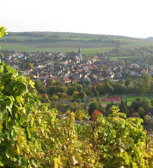 Gästehaus Niki | © Unbekannt
