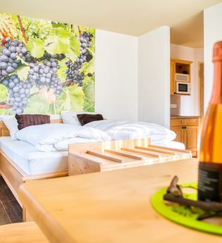 Gästehaus Politschek | Doppelzimmer | Bad Friedrichshall | © Yasmin Politschek | Weingut Politschek