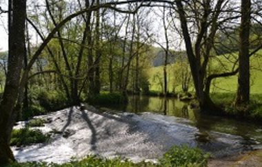 Gasthaus Holdermühle | © Unbekannt