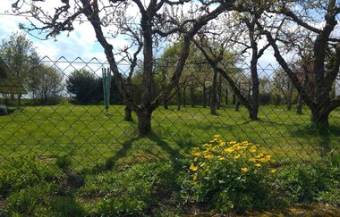 Gasthaus zum "Goldenen Roß" | © Unbekannt