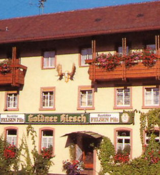 Gasthof Pension Goldener Hirsch