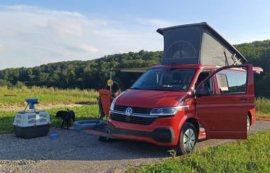 Ein roter VW-Bus mit Faltdach auf dem Platz mit einem Hund und einer Hundebox | © Touristikgemeinschaft Hohenlohe e. V. | Green Camp Schleierhof