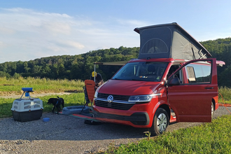 Ein roter VW-Bus mit Faltdach auf dem Platz mit einem Hund und einer Hundebox | © Touristikgemeinschaft Hohenlohe e. V. | Green Camp Schleierhof