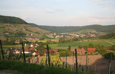 Blick auf das Steinbacher Tal mit Weinbau und Landwirtschaft | © Hohenlohe Künzelsau | Haus am Limes