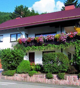 Haus Scheuenpflug