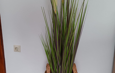 Dekoration in Hofmann's | © Hofmanns leckeres Eis vom Bauernhof