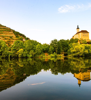 Steillagen-Areal Gundelsheimer Himmelreich | Neckartal | HeilbronnerLand | © Touristikgemeinschaft HeilbronnerLand