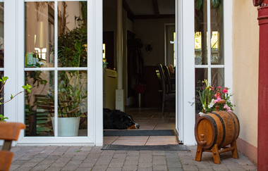 Eingang | Hotel Herberge zur Traube | Bad Wimpfen | HeilbronnerLand | © Hotel Herberge zur Traube