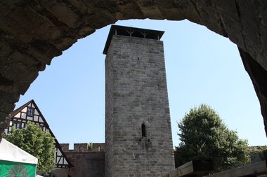 Bergfried Langhans | Burgfalknerei Hohenbeilstein | Beilstein | HeilbronnerLand | © Burgfalknerei Hohenbeilstein