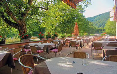Biergarten Hotel-Restaurant Grüner Baum / Odenwald | © Hotel-Restaurant Grüner Baum GbR
