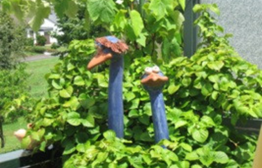 Hotel-Restaurant Lindenhof | © Unbekannt