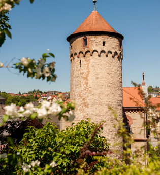 Bild eines Steinturmes mit einem spitzen Dach. Im Vordergrund sind weiße Apfelblüten zu sehen. | © Stadt Osterburken