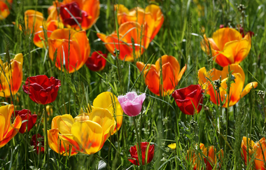 Hotel Restaurant Märchenwald