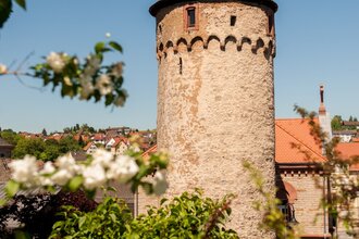 Bild eines Steinturmes mit einem spitzen Dach. Im Vordergrund sind weiße Apfelblüten zu sehen. | © Stadt Osterburken