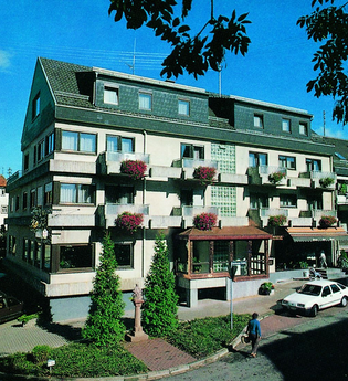 Hotel Restaurant Metzgerei Zum Schwanen